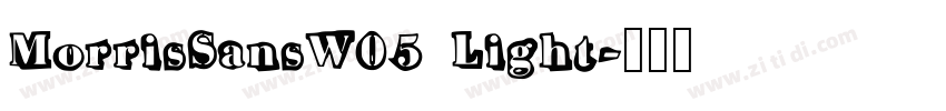 MorrisSansW05 Light字体转换